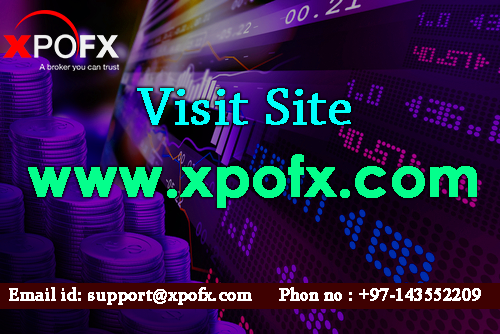 Forex Trading Company Xpofx - 